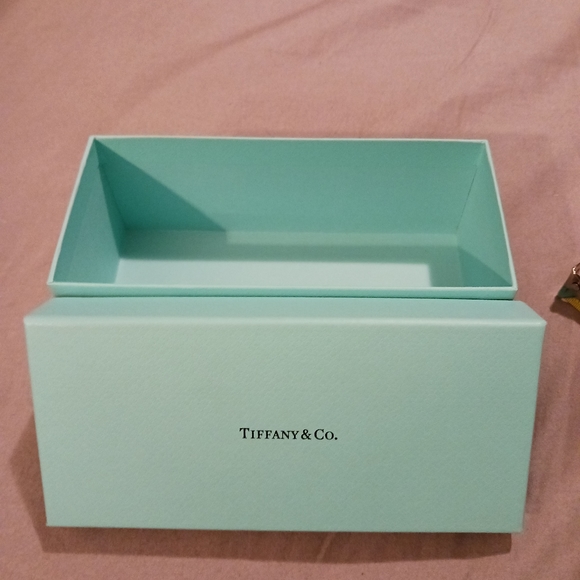 NEW! TIFFANY AND CO EYEGLASS CASE & BOX - Picture 12 of 13